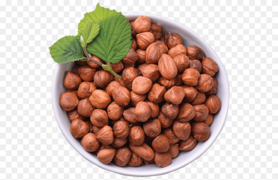 Hazelnuts Improve Older Adults Micronutrient Levels Chocolate, Food, Nut, Plant, Produce Png