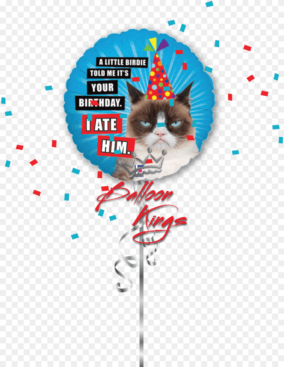 Hb Grumpy Cat Get Well Soon Balloon Clothing, Hat, Animal, Mammal Free Transparent Png