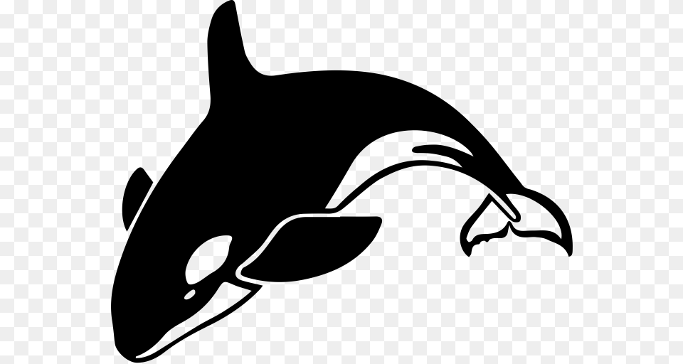 Hbase Logo, Animal, Sea Life, Mammal, Fish Free Transparent Png