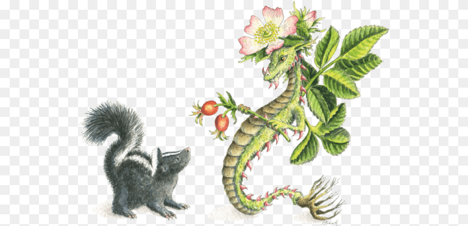 Hbdragon Wild Rose Dragon And Skunk Rose, Plant, Animal, Bird, Mammal Free Png