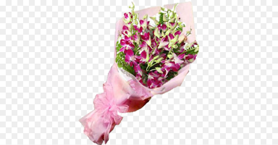 Hd 10 Purple Orchids Flowers Bouquet Orchid Orchid Flower Bouquet, Flower Arrangement, Flower Bouquet, Petal, Plant Png