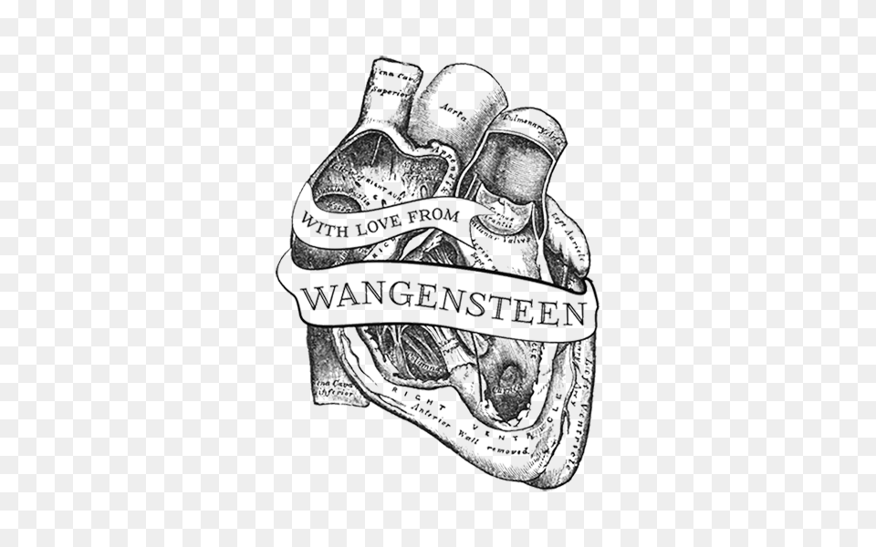 Hd Anatomical Heart Tattoo Antique Medical Antique Medical Illustration, Art, Doodle, Drawing Free Transparent Png