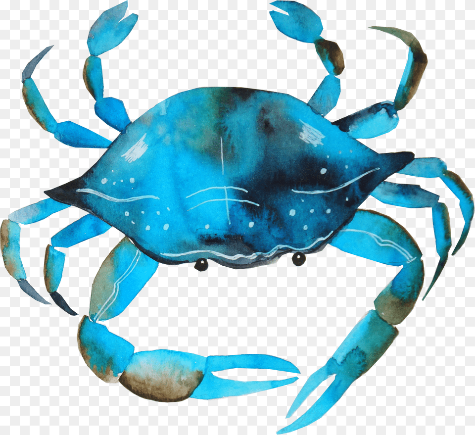 Hd Blue Crab Watercolor Crab Transparent Painting Of Cancer Crab Free Png Download