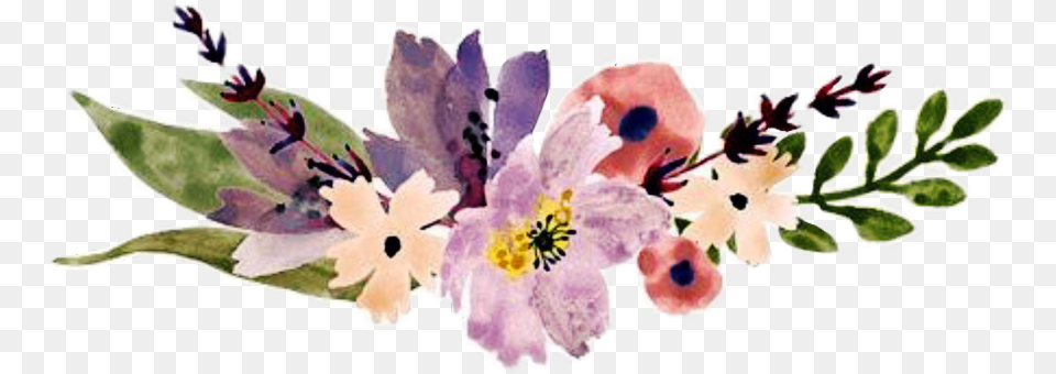 Hd Border Flowers Divider Watercolor Flowers Divider, Flower, Plant, Art, Floral Design Png Image