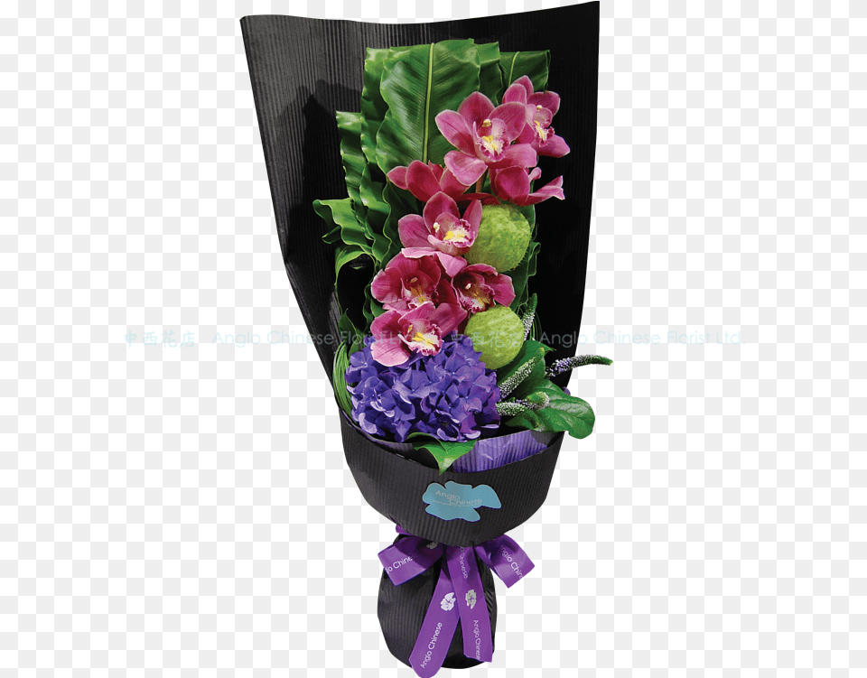 Hd Bougainvillea Transparent Lily Of The Valley, Flower, Flower Arrangement, Flower Bouquet, Plant Png Image