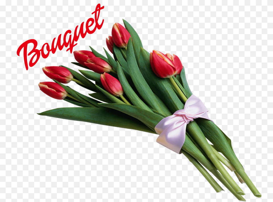 Hd Bouquet Of Flowers Image Bouquet Of Happy Day Sister, Flower, Plant, Flower Arrangement, Flower Bouquet Free Transparent Png