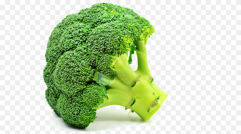 Hd Broccoli Green Broccoli, Food, Plant, Produce, Vegetable Free Png