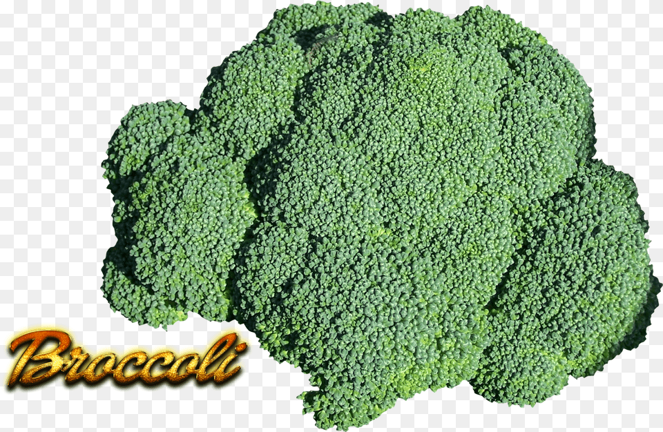 Hd Broccoli Transparent Superfood, Food, Plant, Produce, Vegetable Free Png