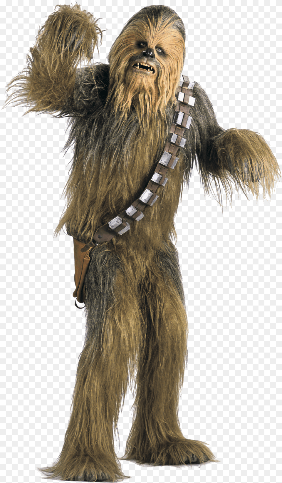 Hd Chewbacca Transparent Star Wars Chewbacca, Adult, Female, Person, Woman Free Png