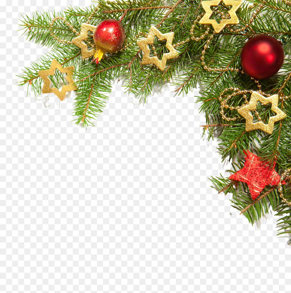 Hd Christmas Border Images Holiday Border No Background, Plant, Tree, Christmas Decorations, Festival Png