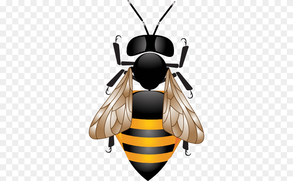 Hd Clip Art Pictures, Animal, Bee, Insect, Invertebrate Free Transparent Png