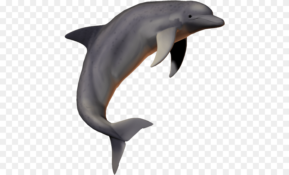 Hd Dolphin Fish Picsartallpng Dolphin Pic With No Background, Animal, Mammal, Sea Life, Shark Free Transparent Png