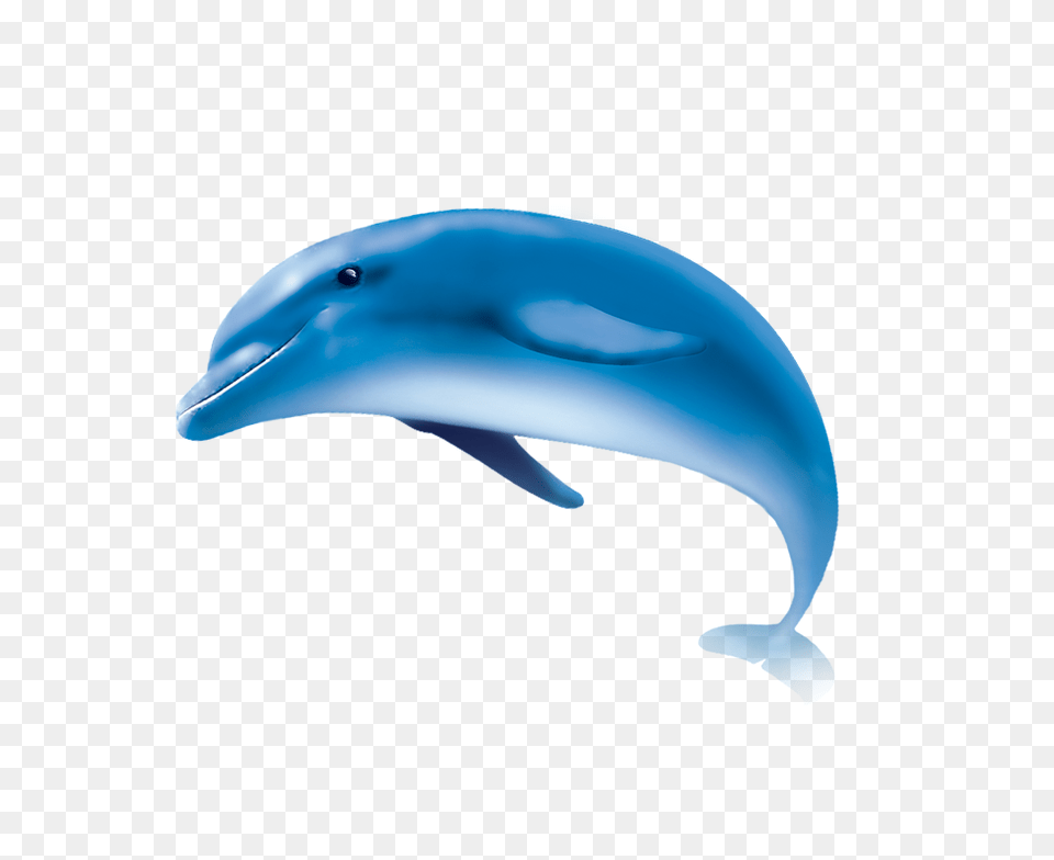 Hd Dolphin Transparent Hd Dolphin Images, Animal, Mammal, Sea Life Free Png Download