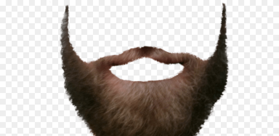Hd Download Vollbart, Beard, Face, Head, Person Png