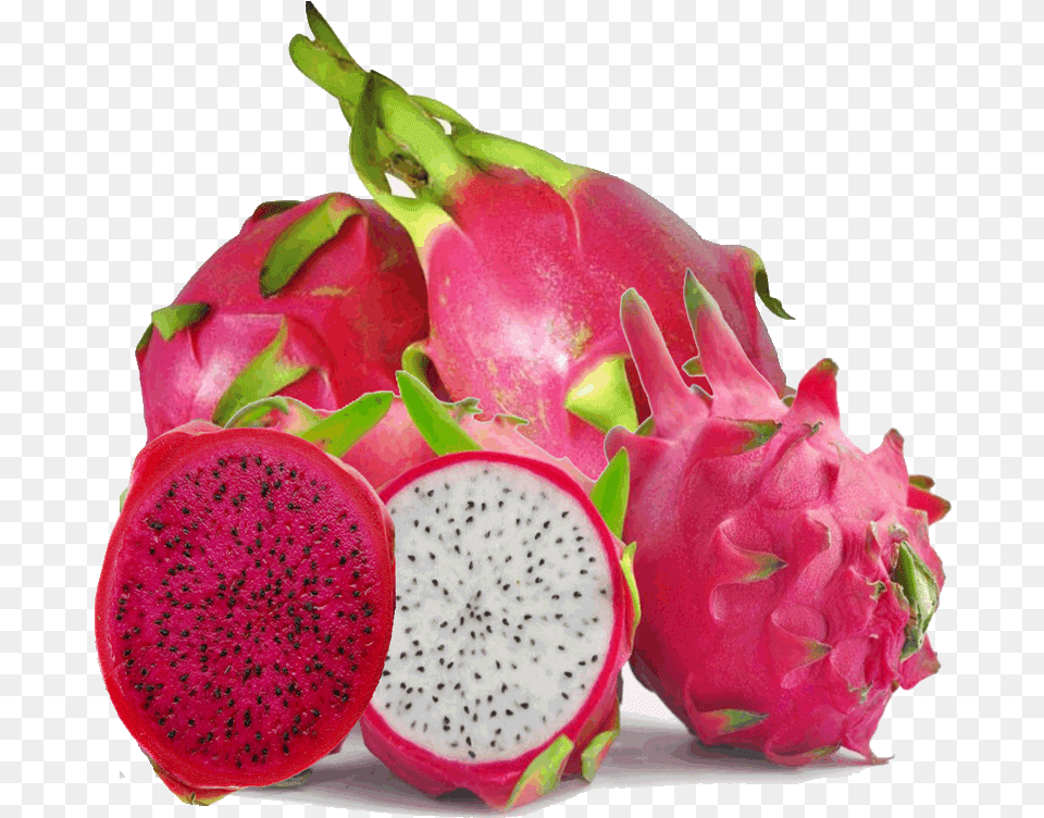 Hd Dragon Fruit Pictures Dragon Fruit Images Hd, Food, Plant, Produce, Flower Free Png