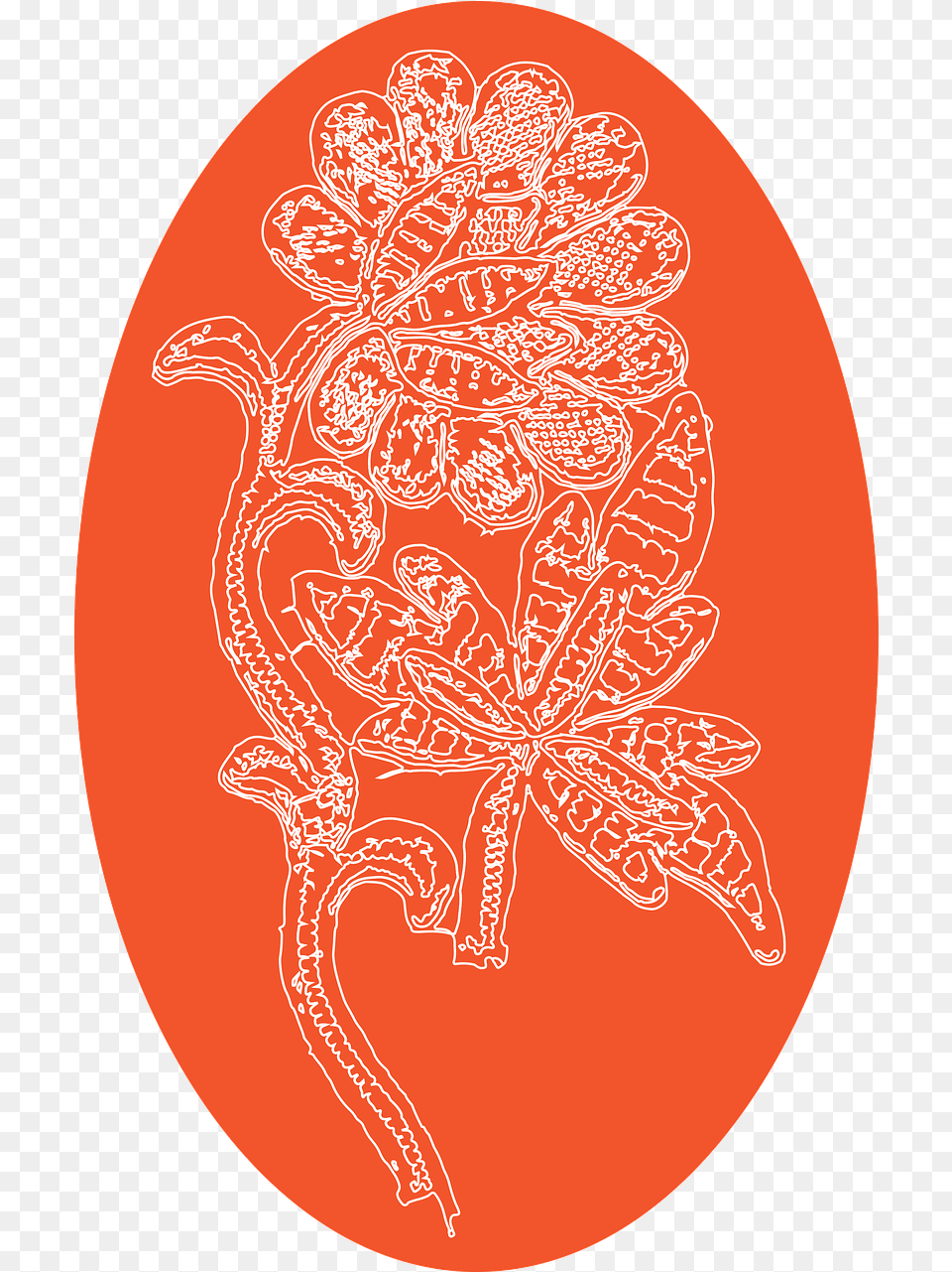 Hd Egg Easter Lace Circle, Pattern, Nature, Outdoors, Snow Free Transparent Png