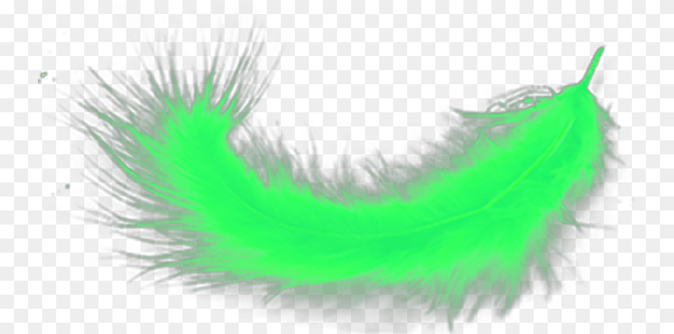 Hd Ftestickers Green Limegreen Grass, Accessories, Pattern, Feather Boa, Animal Png Image