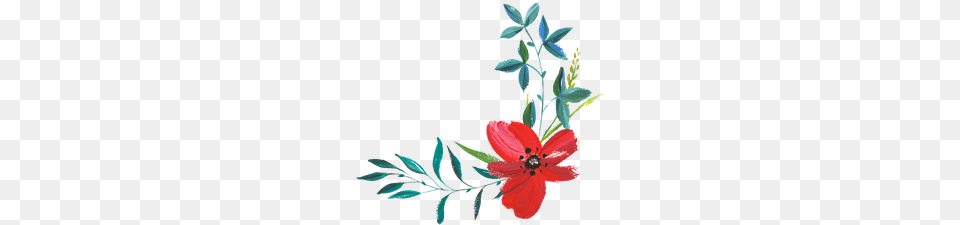 Hd Full Vector Watercolor Painting Red Poppy Flower, Art, Floral Design, Graphics, Pattern Free Transparent Png