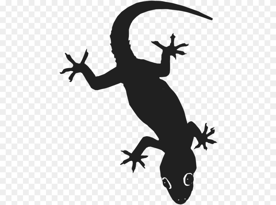 Hd Gecko Transparent Image Silhouette, Animal, Lizard, Reptile, Baby Free Png