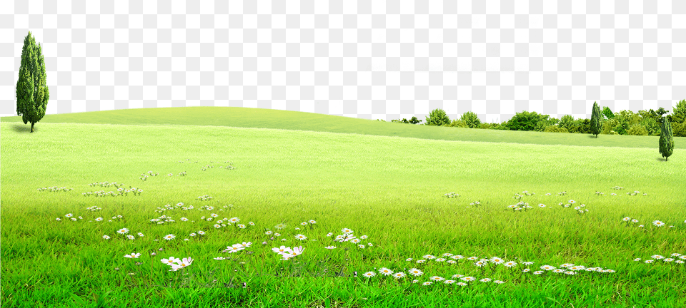 Hd Graphic Stock Land Grassland For On Green Land Background, Countryside, Plant, Outdoors, Nature Free Png
