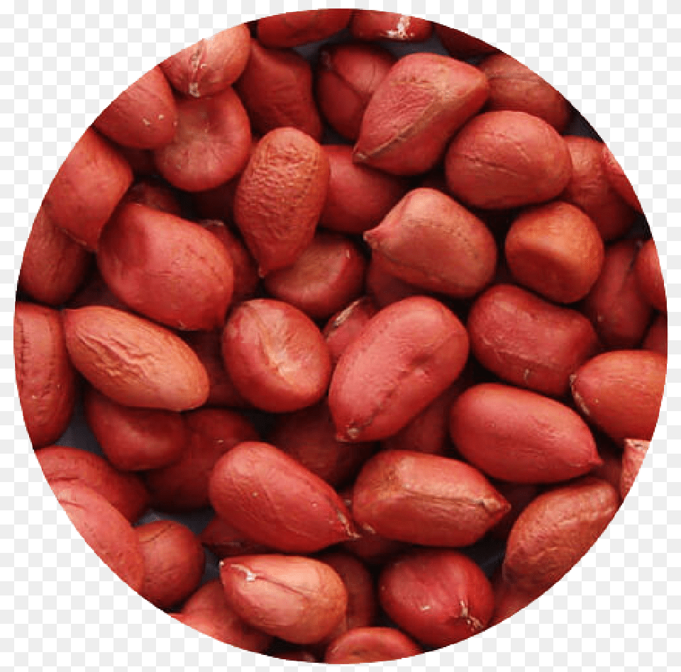 Hd Groundnuts, Food, Nut, Plant, Produce Png Image