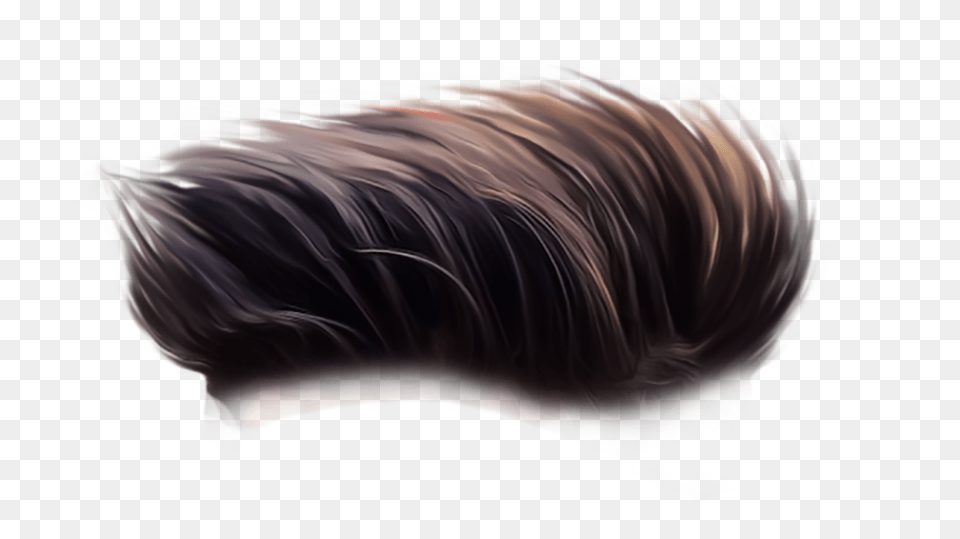 Hd Hair Brown, Adult, Person, Woman, Female Free Png Download