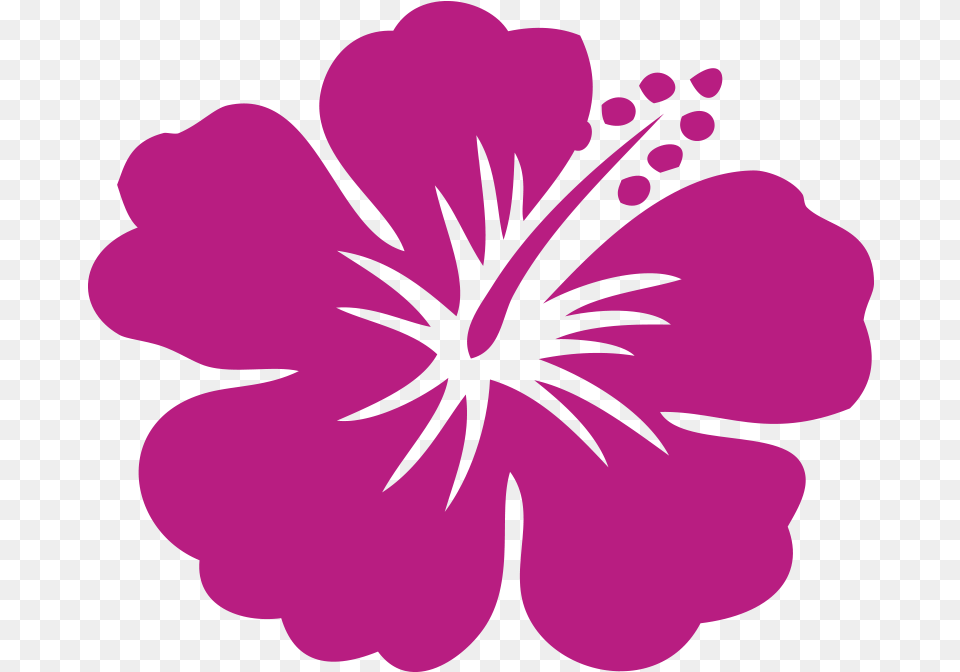 Hd Hawaii Hibicus Car Stickers Seven Dots Hawaii State Flower Hibiscus, Plant, Geranium, Person Png