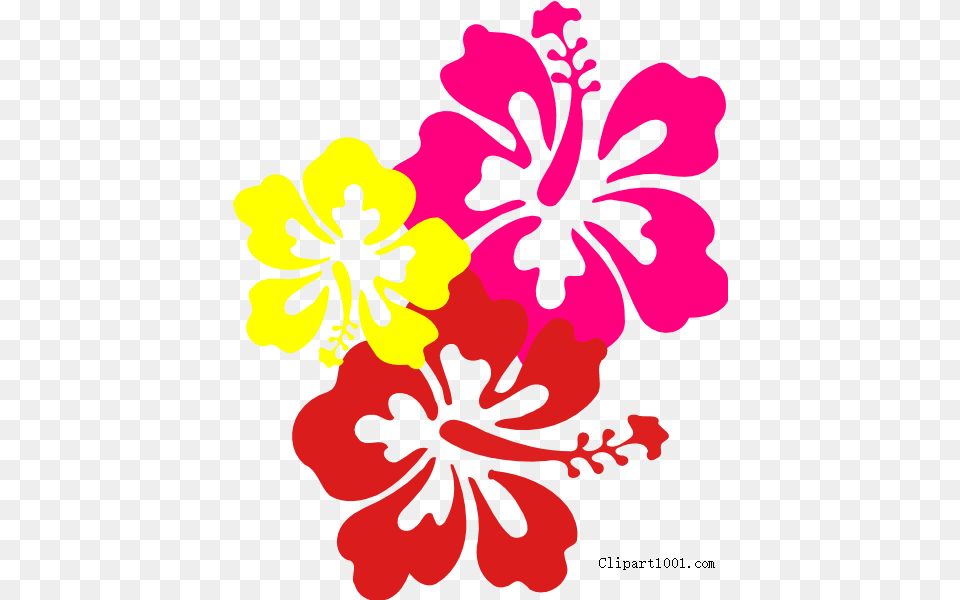 Hd Hawaiian Flower Clip Art Three Flowers Hibiscus Clip Art, Plant, Face, Head, Person Free Transparent Png