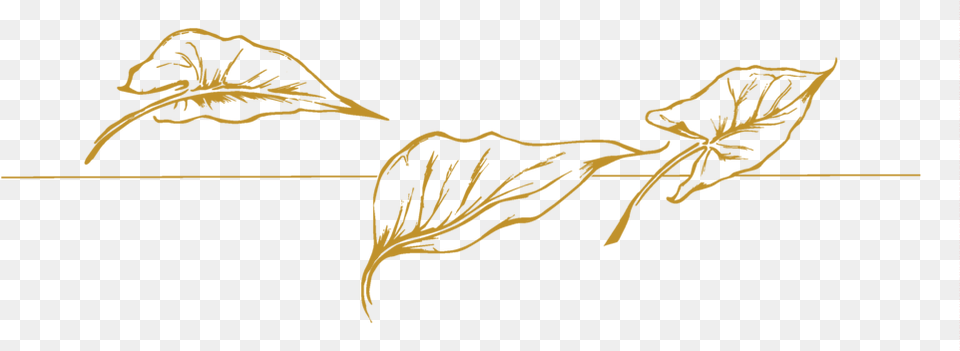 Hd Jade Gold Leaves, Body Part, Hand, Person, Animal Free Transparent Png