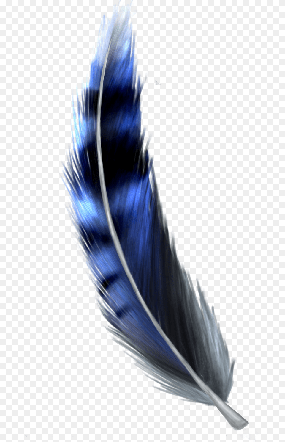 Hd Jay Feather Blue Jay Feather Blue Jay Feather, Person, Bottle, Accessories Free Png