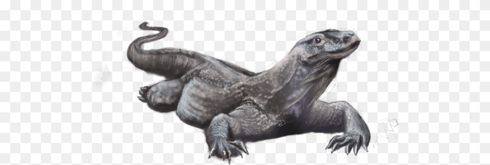 Hd Komodo Dragon Pic Realistic Komodo Dragon Drawing, Electronics, Hardware, Animal, Dinosaur Png