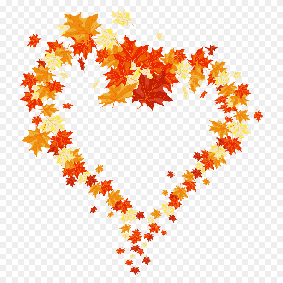 Hd Leaves Heart Border Image Free Heart Autumn Leaves, Leaf, Plant, Maple, Tree Png