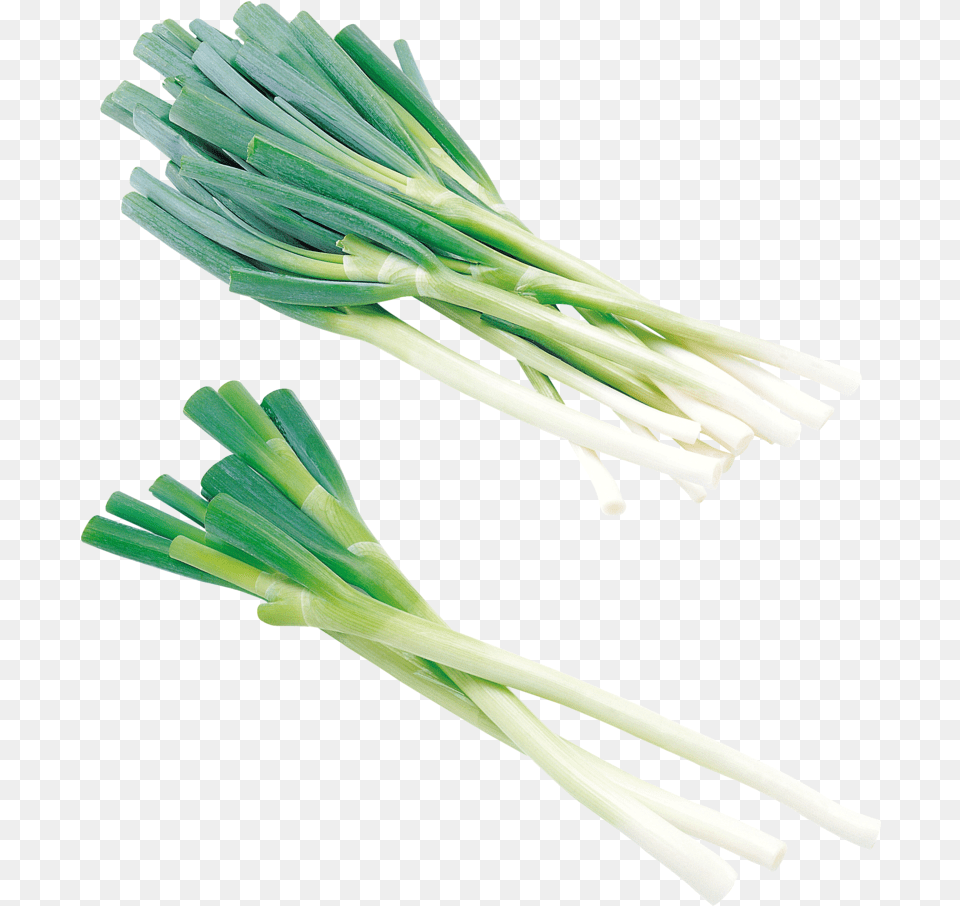 Hd Leek Download Image Leek, Food, Produce, Plant, Spring Onion Free Transparent Png