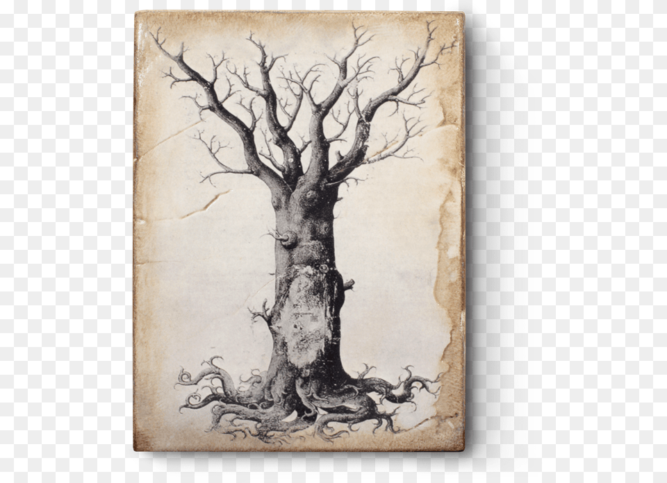 Hd Medieval Tree Of Life Transparent Image Sid Dickens Tree Of Life, Art, Painting, Plant, Tree Trunk Free Png Download