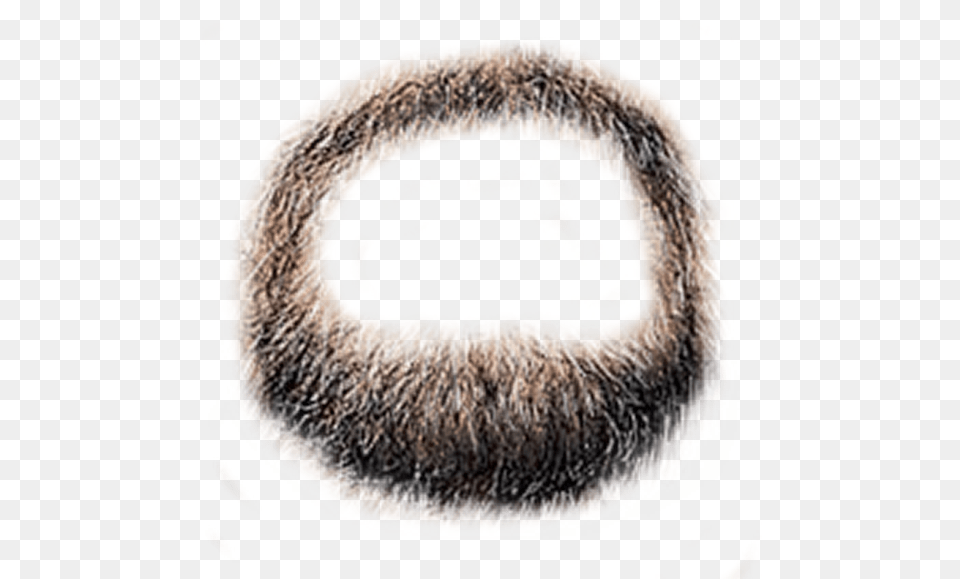 Hd Mexican Hair Styles Beard, Animal, Mammal, Snout, Sloth Free Png