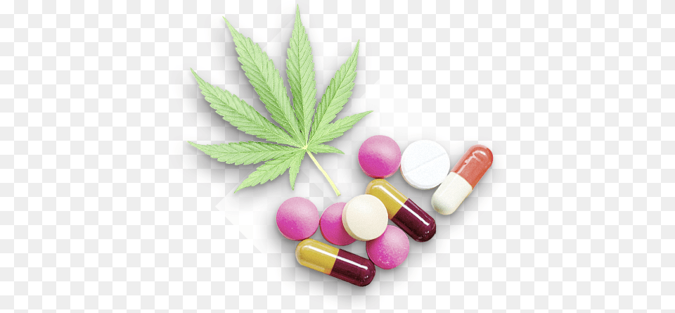 Hd Narcotics Pills Narcotic, Herbal, Herbs, Plant, Medication Free Transparent Png