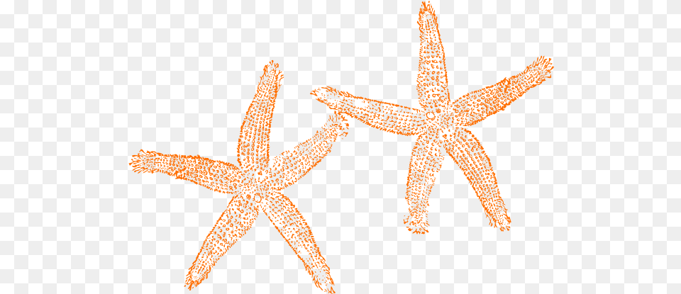 Hd Orange Starfish Clipart Clipart Starfish No Fish Clip Art, Animal, Sea Life, Invertebrate Png