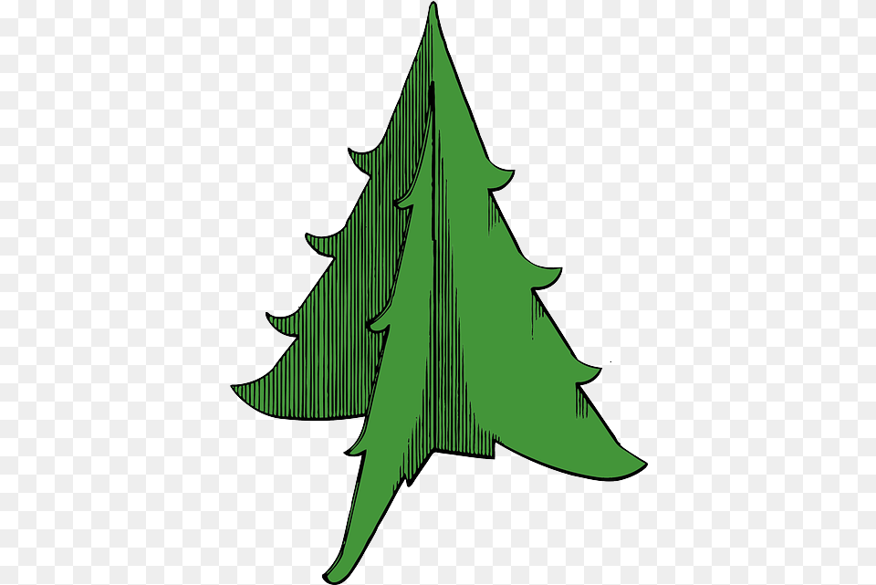 Hd Outline Tree Recreation Trees Christmas Christmas Tree, Leaf, Plant, Green, Person Png Image