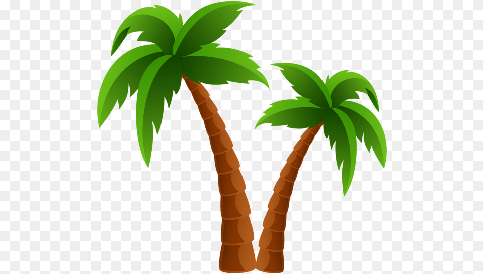 Hd Palm Tree Beach Beachpng Cartoon Palm Tree Vector, Palm Tree, Plant Free Png Download