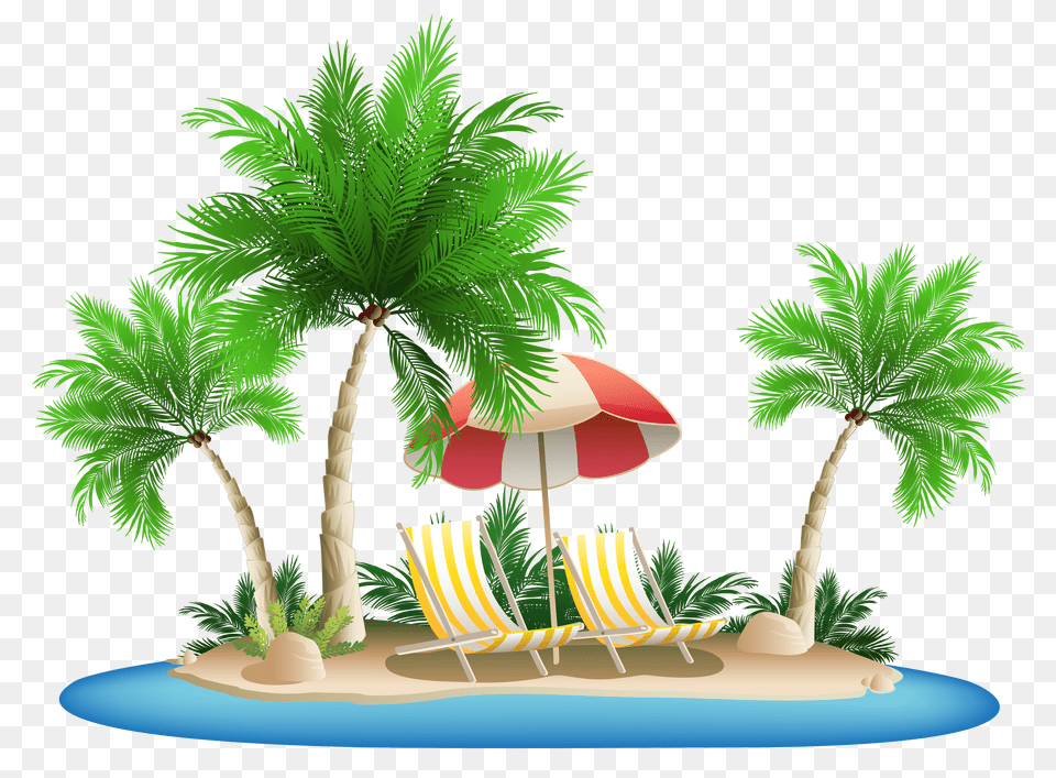 Hd Palm Tree Beach Transparent Beachpng Island Png