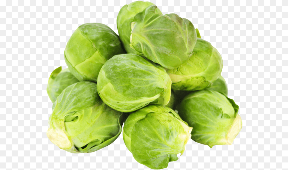 Hd Photos Of Brussels Sprouts, Food, Plant, Produce, Brussel Sprouts Free Png Download