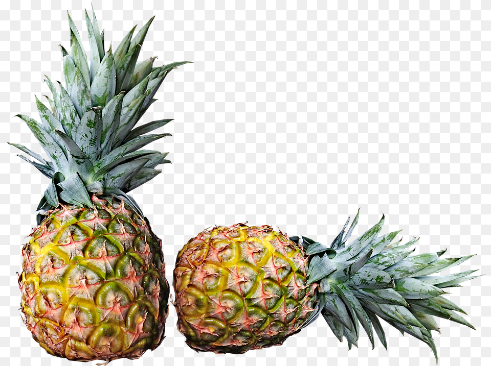 Hd Pineapples Fruit Fresh Tropical Pixabay Free Pineapple Fruits, Food, Plant, Produce Png Image