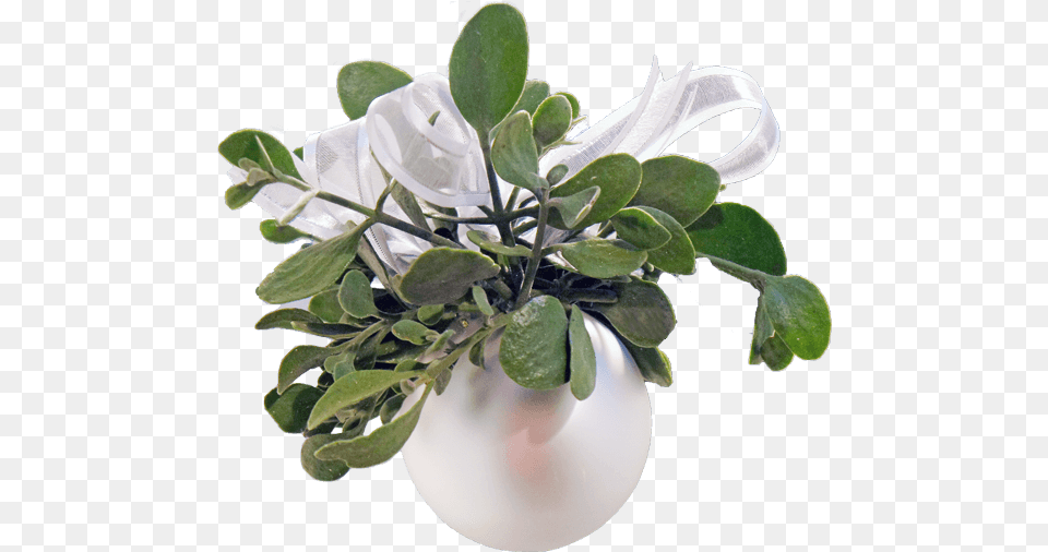 Hd Real Mistletoe Mistletoe Artificial Flower, Flower Arrangement, Flower Bouquet, Leaf, Plant Free Transparent Png