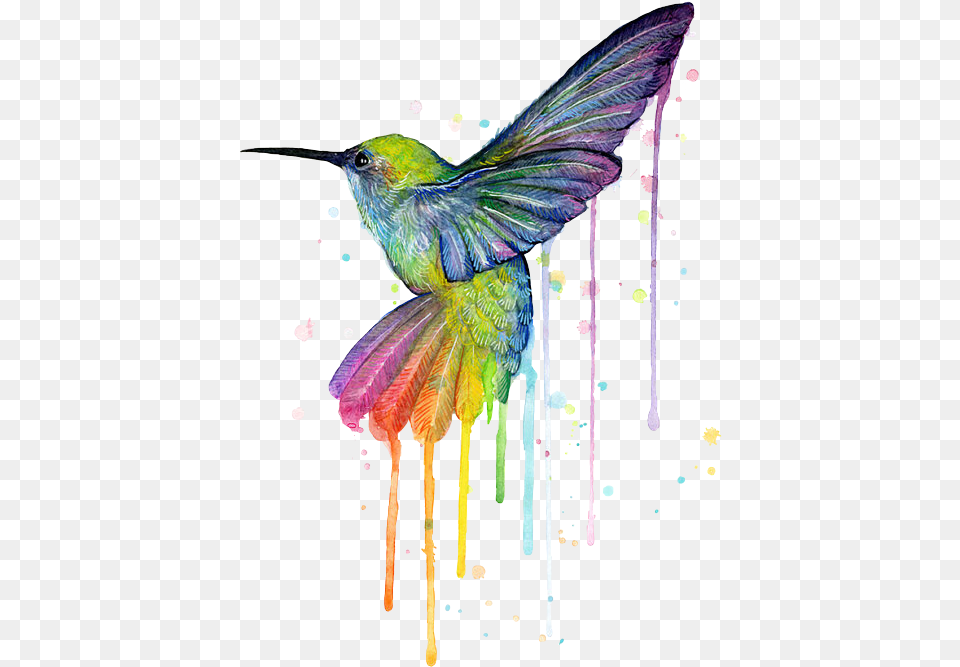 Hd Report Abuse Beautiful Bird Watercolor Painting, Animal, Hummingbird Free Png Download