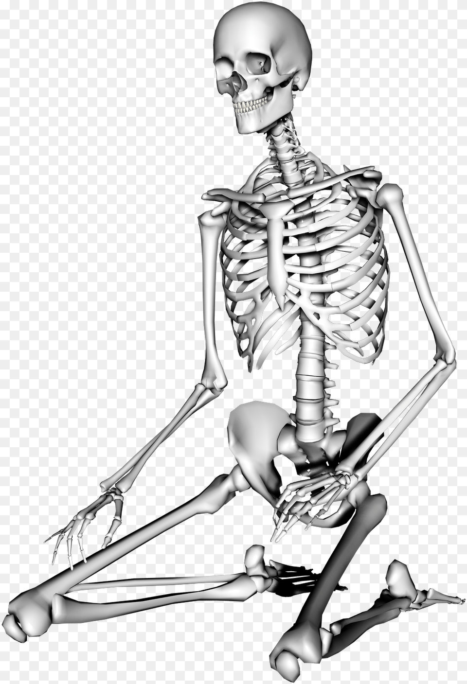 Hd Skeletor Transparent Creepy, Skeleton, Adult, Female, Person Png Image