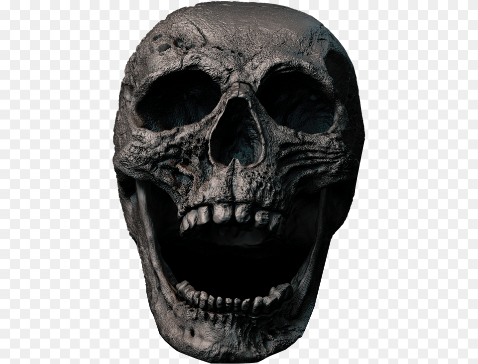 Hd Skull Transparent Image Transparent Scary Skeleton, Animal, Bear, Mammal, Wildlife Png
