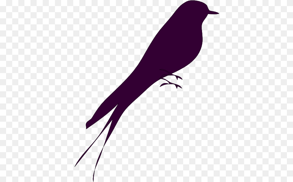 Hd Small Love Bird Silhouette Transparent Purple Birds, Animal, Blackbird Png Image