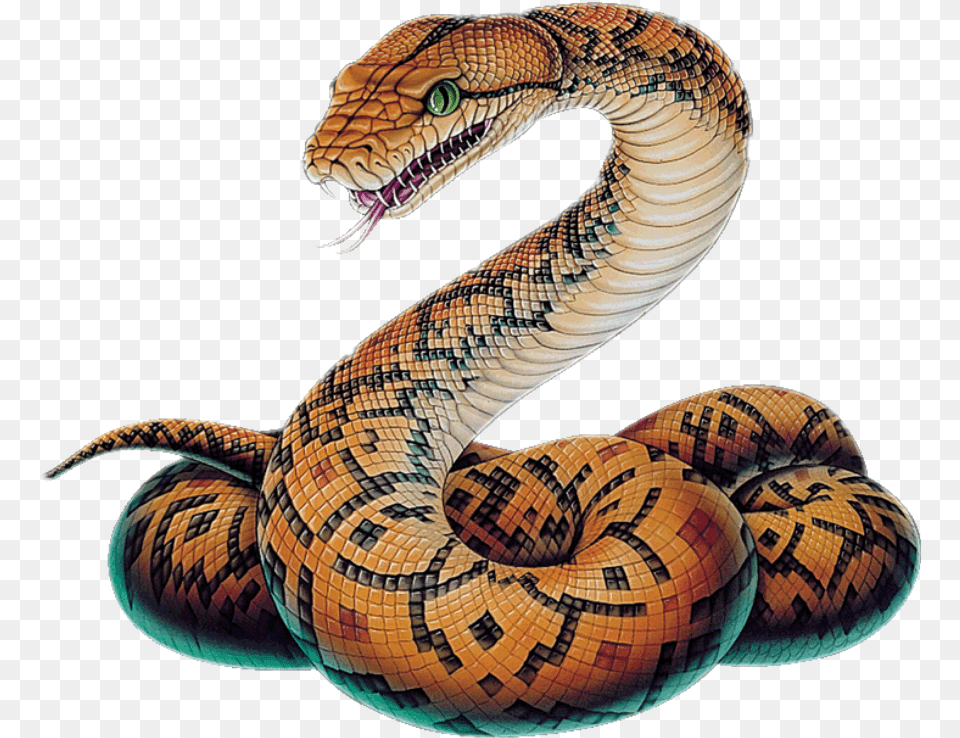 Hd Snake Clipart Boa Snake, Animal, Reptile, Balloon Free Png Download