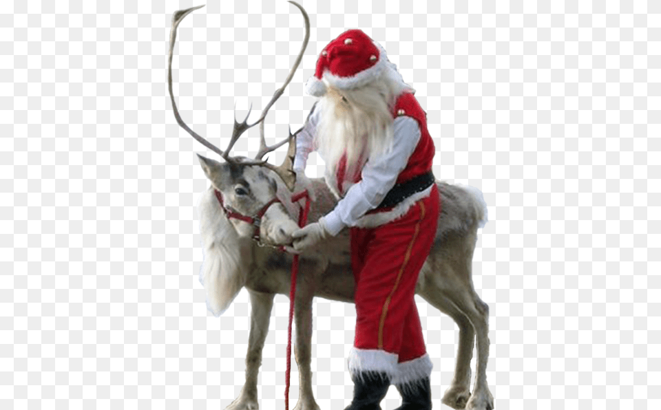 Hd The Best Christmas Santa Claus, Animal, Deer, Mammal, Wildlife Free Png Download