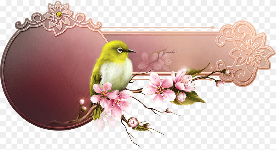 Hd Transparent Clipart Cherry Blossom Barnali Bagchi Free Png Download
